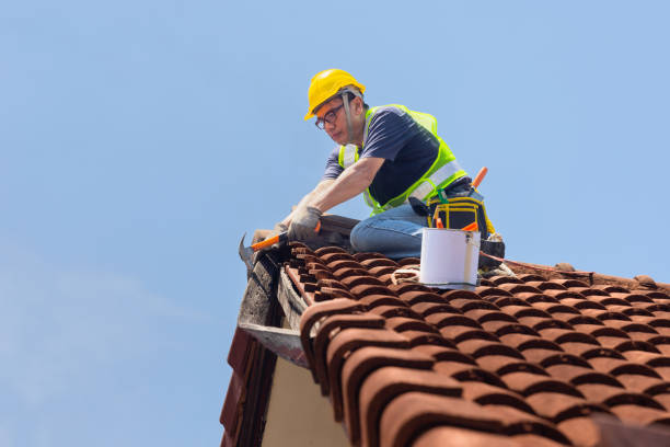 Best Roof Moss and Algae Removal  in Glide, OR